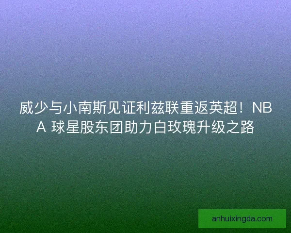 威少与小南斯见证利兹联重返英超！NBA 球星股东团助力白玫瑰升级之路