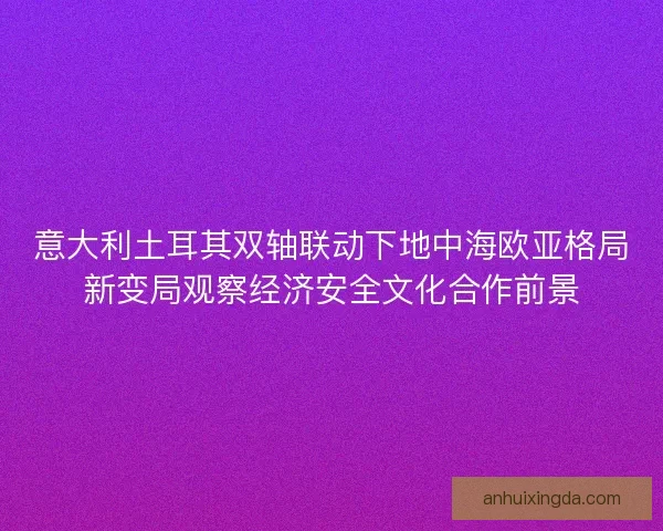 意大利土耳其双轴联动下地中海欧亚格局新变局观察经济安全文化合作前景