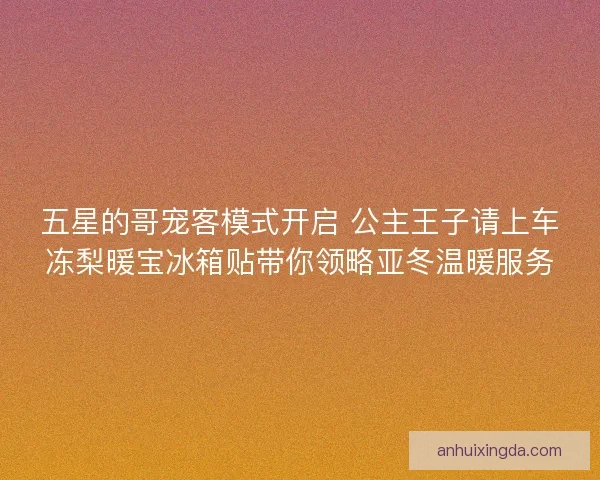 五星的哥宠客模式开启 公主王子请上车冻梨暖宝冰箱贴带你领略亚冬温暖服务