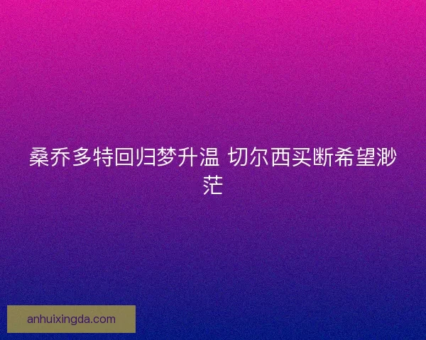 桑乔多特回归梦升温 切尔西买断希望渺茫